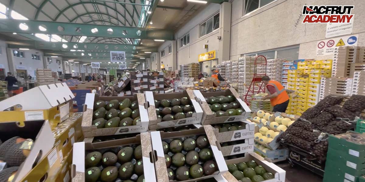 Avocado e mango, arriva la videolezione dedicata di Macfrut Academy